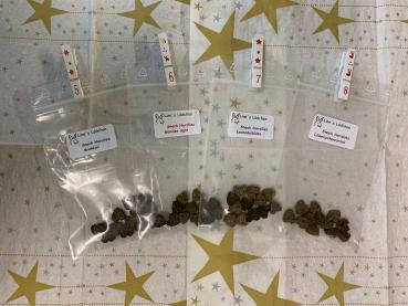 Adventskalender Nachfüller Snack Herzlies